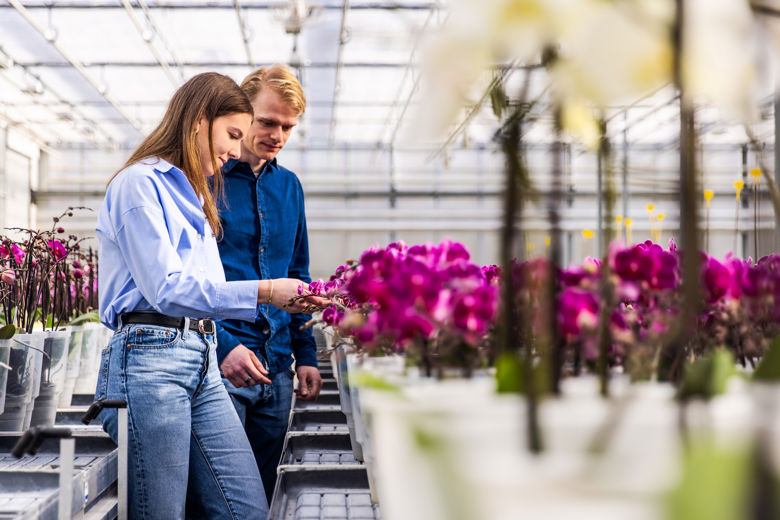 people in a greenhouse with ochids