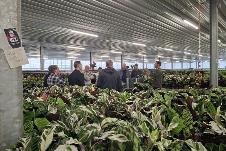Groep telers bespreekt gewas en teeltoptimalisatie tijdens kasbezoek met SDF software