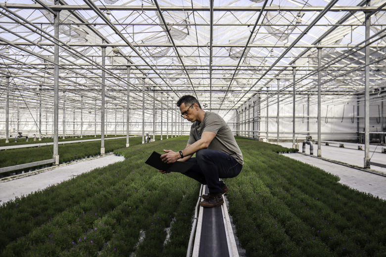 gehurkte man met tablet in een kas met groene planten op de grond
