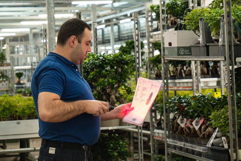 Employee checking and scanning orders with SDF Stockflow software for efficient order picking in floriculture